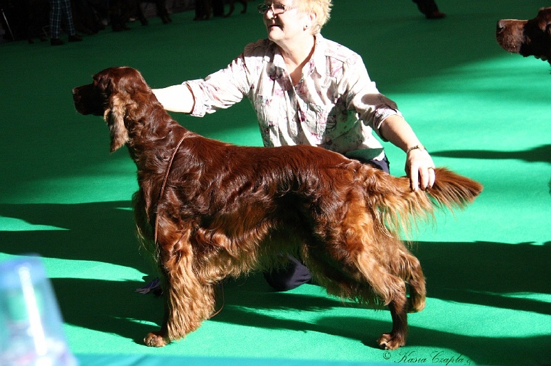 Crufts2011 088.jpg